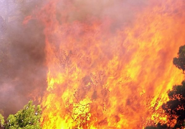 Πυρκαγιές σε Βοιωτία, Καλαμπάκα και Θεσσαλονίκη